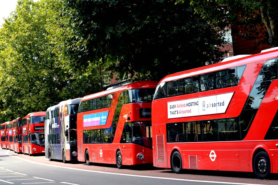 Multiple red double-decker buses parked along a street in Lambeth, with a background of green leafy trees and a building partially visible, illuminated by daylight. The buses display advertisements on their sides, and the scene is captured in a clear, bright setting, illustrating urban transportation in Lambeth. Lambeth Carpet Cleaning provides professional cleaning services, emphasizing hygiene and cleanliness, aligned with the waste rules for disposal and cleaning on the Lambeth council page.