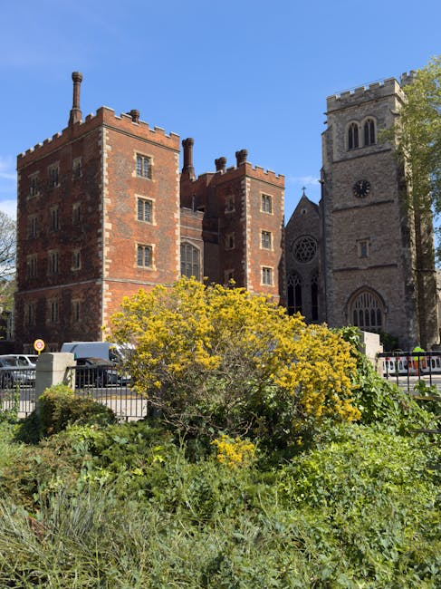 A landscaped outdoor area in front of a historic brick and stone church building with a tall clock tower, featuring green shrubs and yellow flowering plants under bright daylight. The scene includes parked cars along the street, with sunlight illuminating the building's facade and surrounding foliage. The image showcases well-maintained external surfaces with natural greenery, highlighting the contrast between the vibrant plants and the architecture. Lambeth Carpet Cleaning's logo and branding are not visible, as the focus is on the outdoor setting, emphasizing cleanliness and maintenance of exterior surfaces related to domestic and commercial environments associated with surface cleaning and sanitisation in Lambeth.